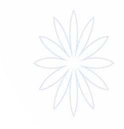 满冠体育官方中文网站(ManGuan)-平台网址入口